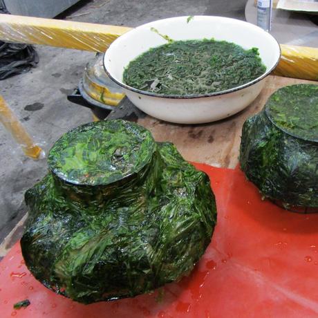 La lámpara de ALGAS de Nir Meiri La lámpara de ALGAS de Nir Meiri