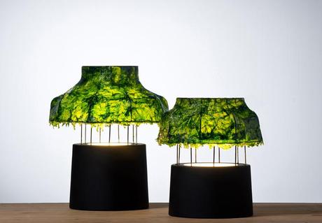 La lámpara de ALGAS de Nir Meiri La lámpara de ALGAS de Nir Meiri