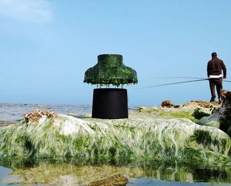 La lámpara de ALGAS de Nir Meiri Nir Meiri