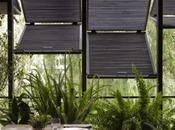 Comedor Estilo Asiático Tropical