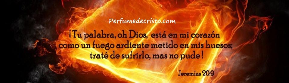 923050_454532307974901_814219447_n