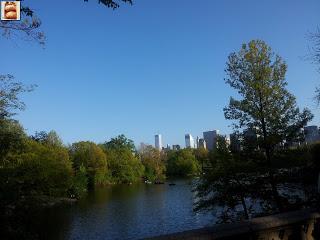 Día 5: Nueva York (museos y Central Park)