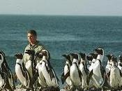 Llegaron vivir África hasta cuatro especies pingüinos prehistóricos