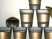 Curiosidades sobre Tequila