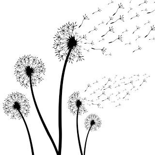 Un episodio de zoología hostil