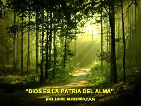 Imagen de previsualización de YouTube