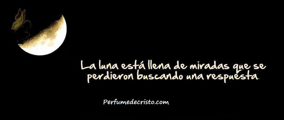 983679_521192831249320_1604128774_n