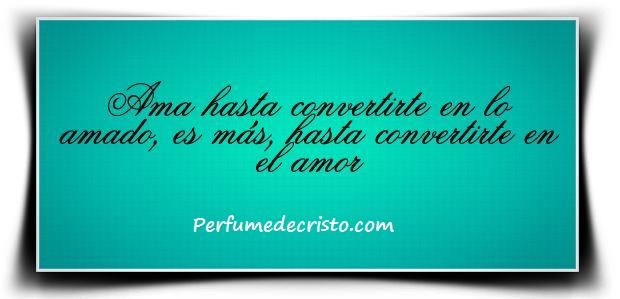 945520_223678077756770_1259307060_n