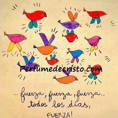 250504_4127669024793_929433447_n