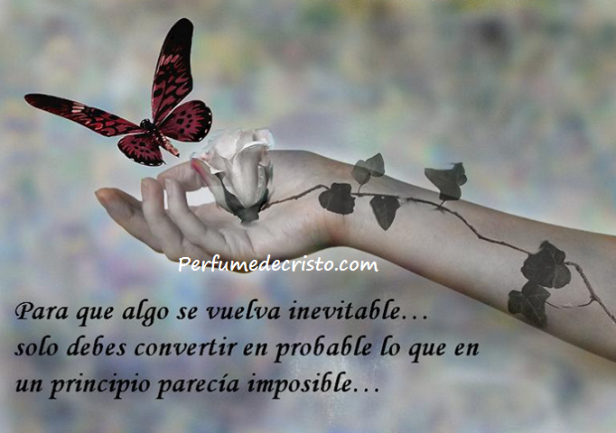 65616_521474574565327_268583458_n