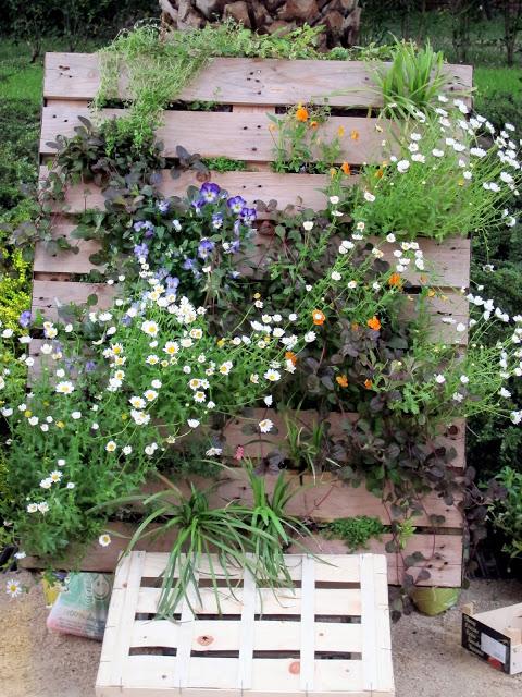 Recuerdos del Mercado...por Lucia M.