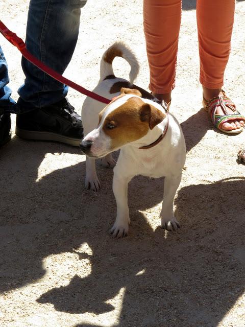 Recuerdos del Mercado...por Lucia M.