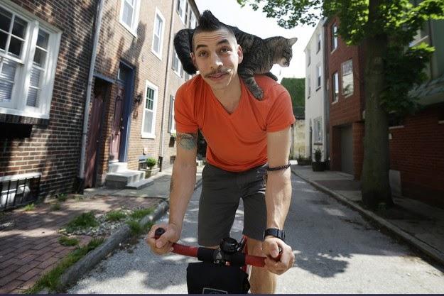 La gata que monta en bicicleta