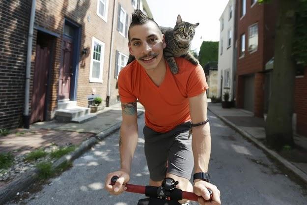 La gata que monta en bicicleta