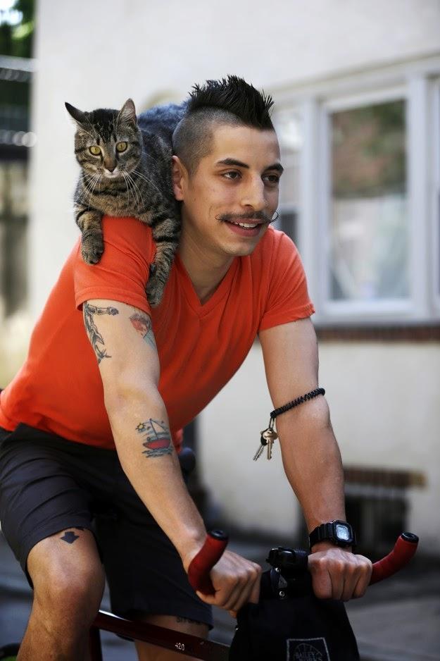 La gata que monta en bicicleta