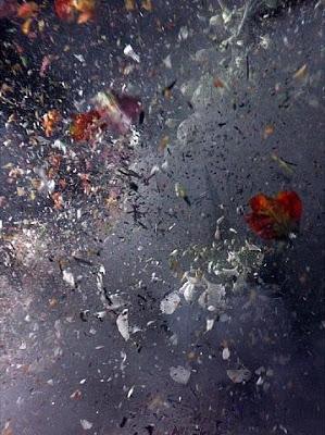 Ori Gersht y la belleza de la violencia