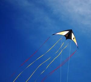 LECCIONES DE LA VIDA! (y II)