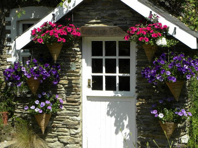 FLORES DE JUNIO....LAS SURFINIAS