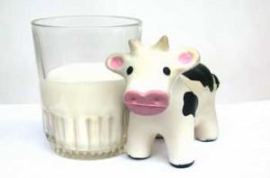 leche1 300x198 Diferencias entre la intolerancia y la alergia a la lactosa de la leche
