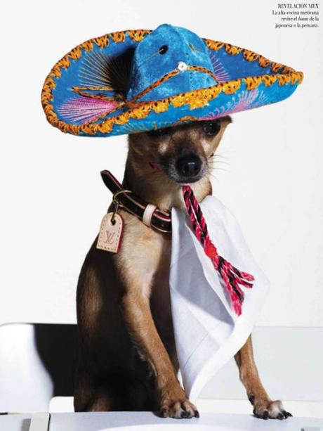 Méjico lindo… Andele, andele…! Méjico lindo… Andele, andele…!