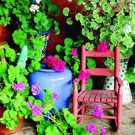 Méjico lindo… Andele, andele…! Méjico lindo… Andele, andele…!