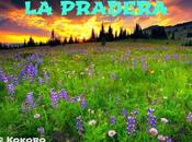 pradera