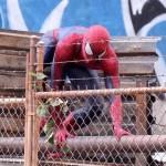 Rodaje de The Amazing Spider-Man 2