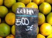 Productores brasileños naranja crisis pese altos precios jugo