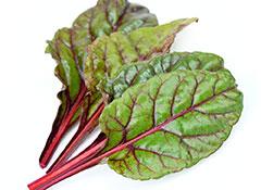 Red-chard