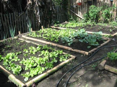 huertourbano El suelo en el Cultivo de Huertos Urbanos