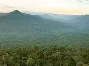 Firmad bosques Camboya