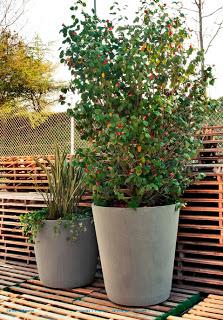 Maceta cónica. Escofet.