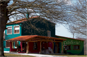 Ganaderia ecologica Granja Maruxa Monterroso Nodo 21957 800 300x199 Granxa Maruxa:Un auténtico proyecto ecologista que enamora. 