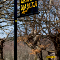 Ganaderia ecologica Granja Maruxa Monterroso Nodo 21958 800 200x200 Granxa Maruxa:Un auténtico proyecto ecologista que enamora. 