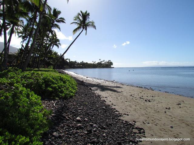 MAUI; el santuario de las ballenas jorobadas