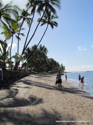 MAUI; el santuario de las ballenas jorobadas