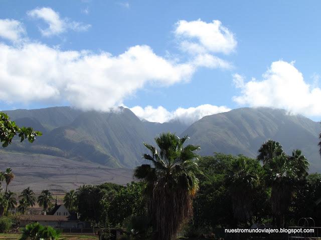 MAUI; el santuario de las ballenas jorobadas