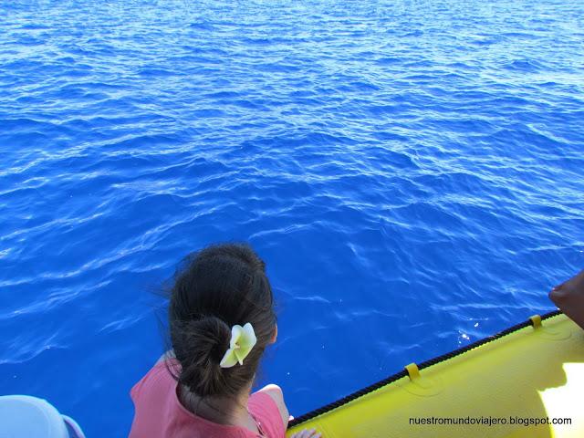 MAUI; el santuario de las ballenas jorobadas