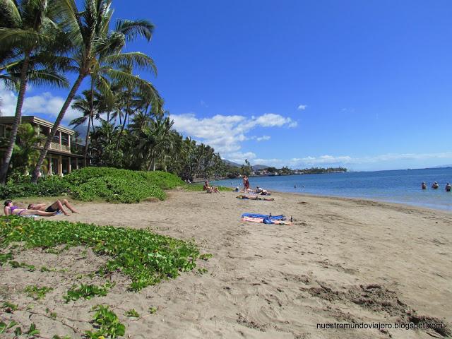 MAUI; el santuario de las ballenas jorobadas