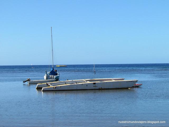 MAUI; el santuario de las ballenas jorobadas