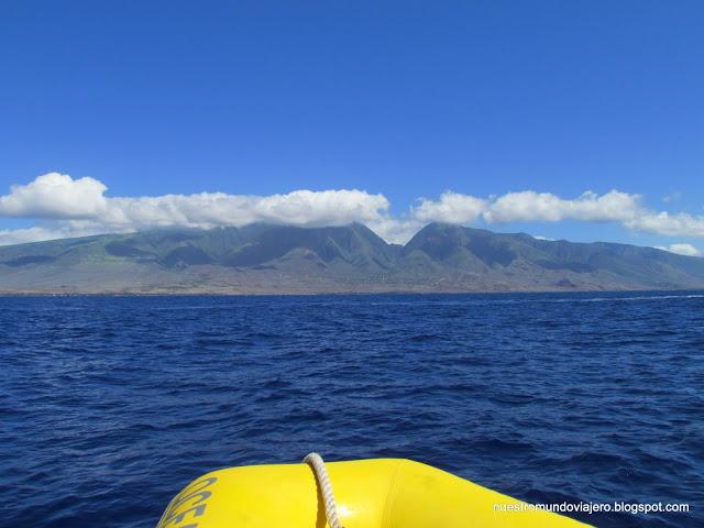 MAUI; el santuario de las ballenas jorobadas