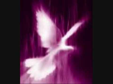 Imagen de previsualización de YouTube