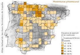 ABRIL Y MAYO  EN ALAVA