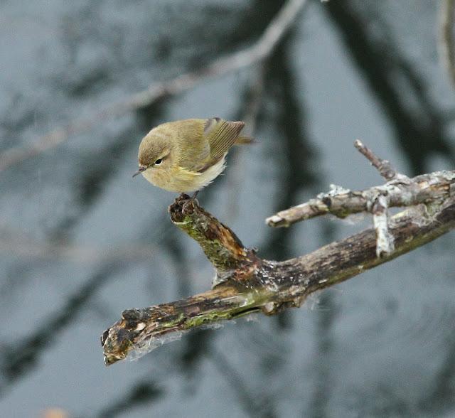 ABRIL Y MAYO  EN ALAVA
