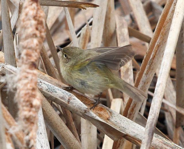 ABRIL Y MAYO  EN ALAVA