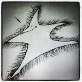 estrella