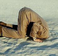 problemas crónicos organizaciones Stephen Covey organizational_crisis.jpg