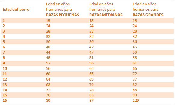 Tabla edad del perro en años humanos