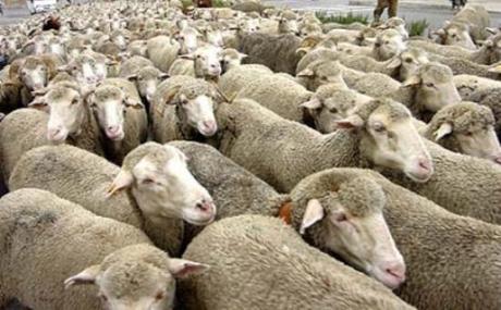 SIMULACION DEMOCRATICA Y DEMOCRACIA DIRECTA... Realidad de la política en el mundo.