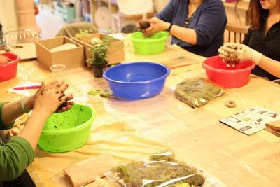 El arte de los jardines kokedama